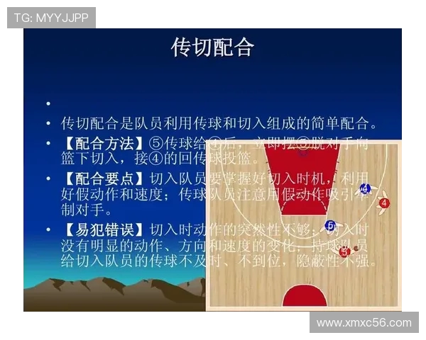 周磊独家分享篮球心得与技巧助你提升球场表现与战术理解